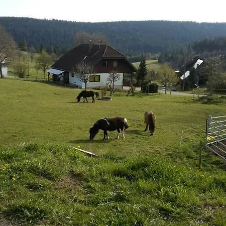 Gastehaus Lisahof * Schluchsee